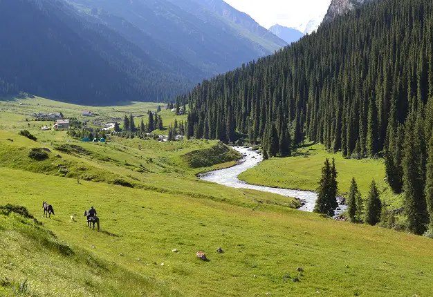 アルティン・アラシャン