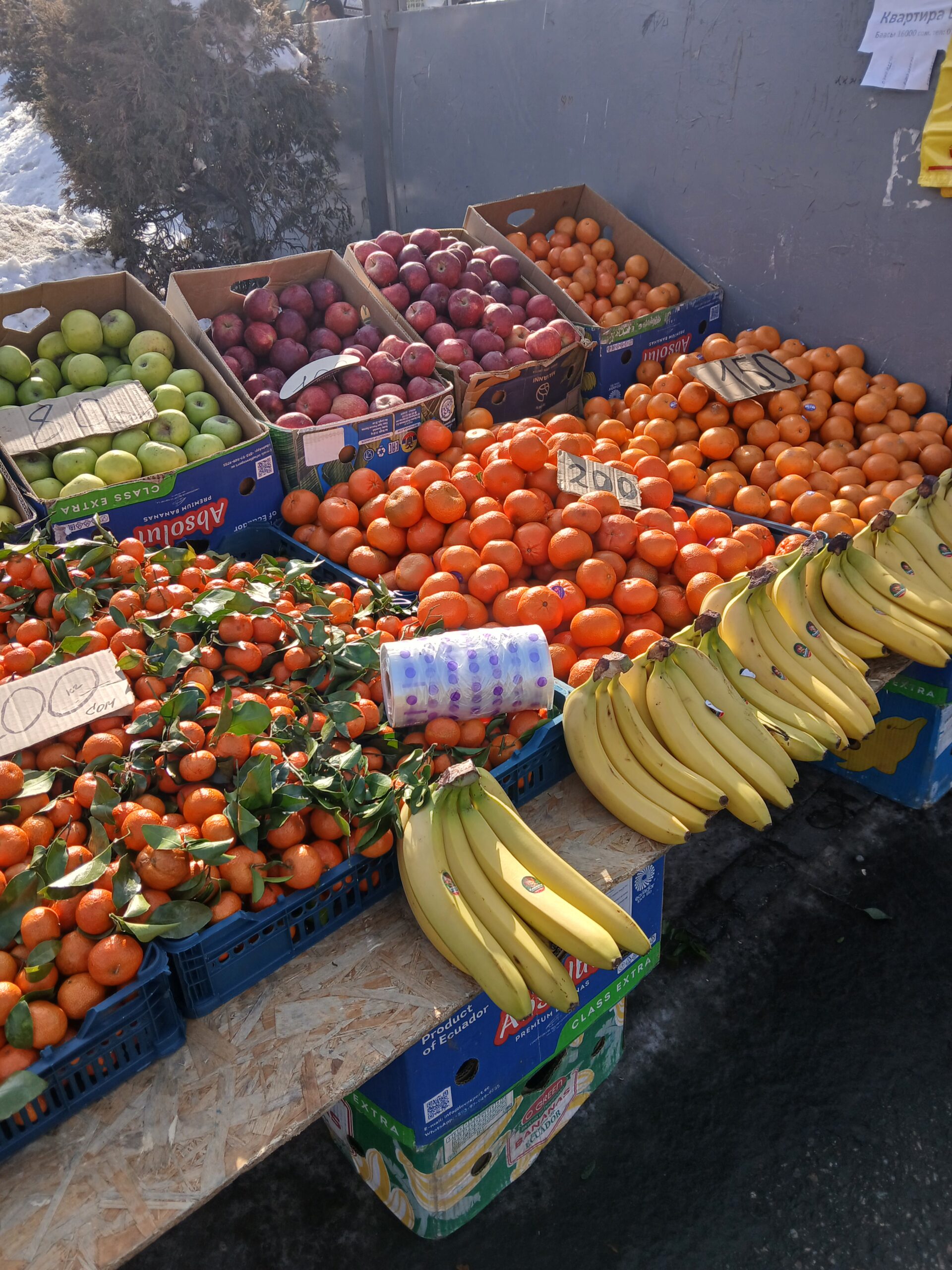 南部キルギス オシュから始まる絶景の旅