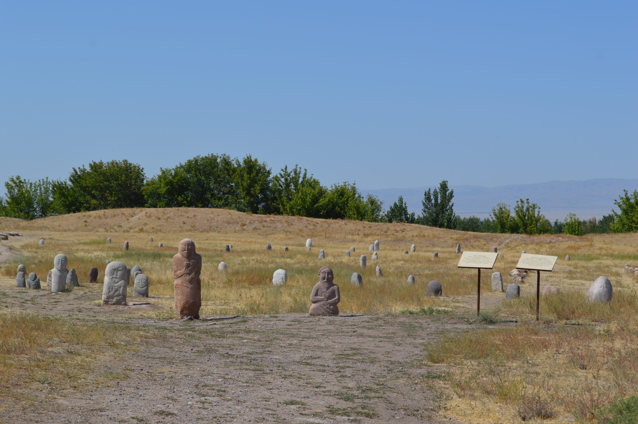 遺跡とラグマンの旅：シルクロードを巡る一日